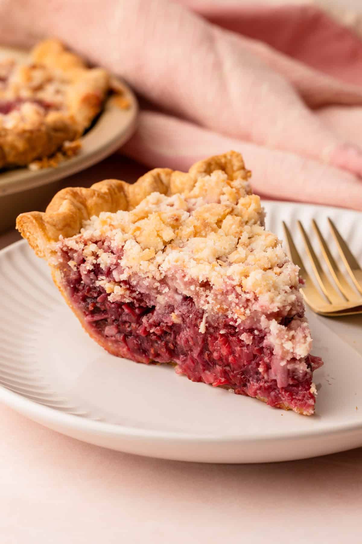 A slice of raspberry coconut macaroon pie.