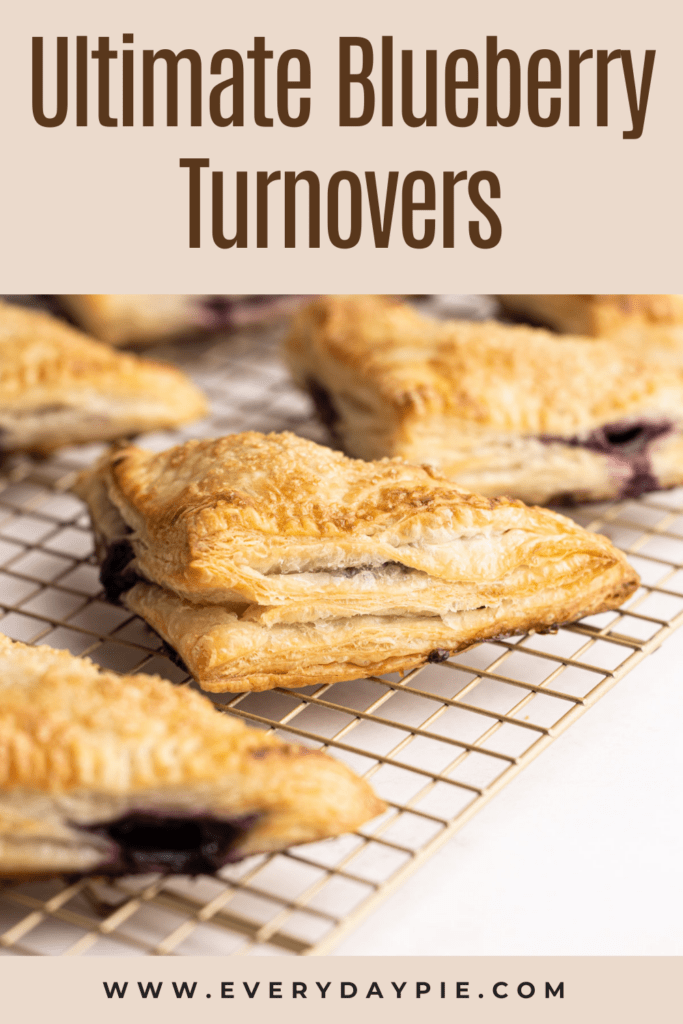 Blueberry Turnovers